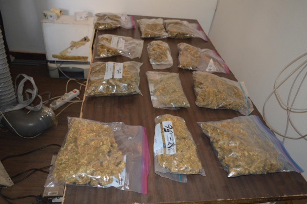 Trafic de drogue de variété 'SKUNK’’: L'Ocrtis fait tomber l'un des acolytes du ressortissant français