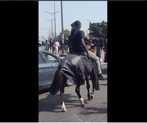 Photos : un cheval et son cavalier à la manifestation de Y'en à marre