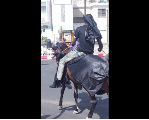 Photos : un cheval et son cavalier à la manifestation de Y'en à marre