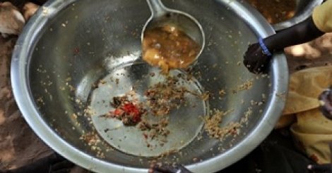 Alerte: La famine guette le département de Bignona