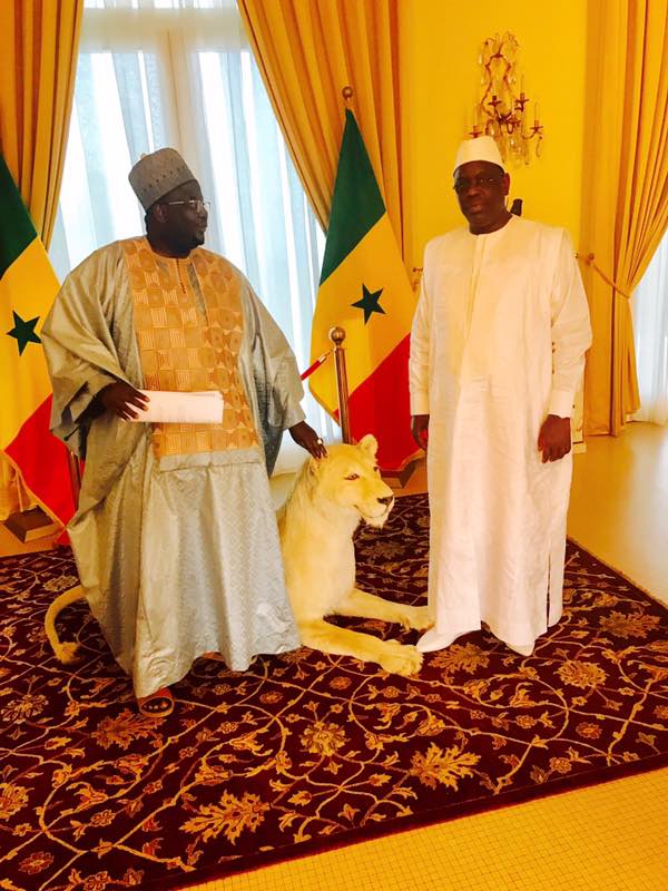 La famille de Serigne Mamoune Niasse réitère  leur engagement auprès de Macky Sall