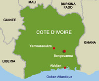 Côte d'Ivoire: l'identification démarre à l'étranger dans "les prochains jours