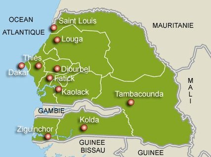 Plus loin avec...Mactar Guèye, expert de la mouvance présidentielle pour l’audit du fichier : "Certes, les inscriptions multiples sont possibles au niveau des commissions, mais..."