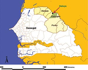 Thilogne : Les coalitions Sopi, Bennoo Siggil Senegaal et And Jëf en convoitent la mairie Les têtes de listes des coalitions Sopi et Bennoo Siggil Senegaal ainsi que celle And-Jëf,