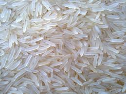 Affaire du Riz "en plastique": selon Dr Fallou Sarr, le plastique ne peut pas donner du riz