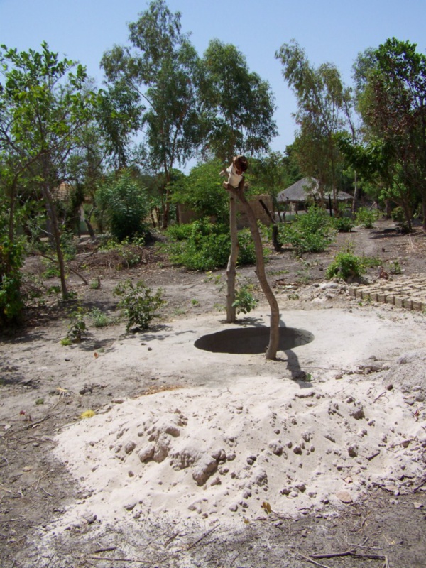 Bignona: Deux corps sans vie repêchés d'un puits à Diandialatt