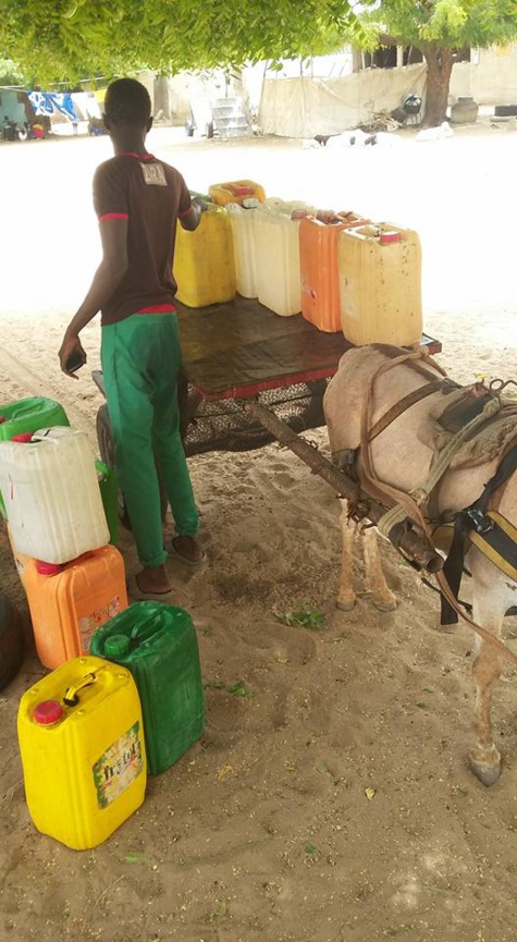 Le Village de Ndiar a soif, les populations lancent un appel