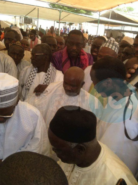 Lettre à Mame Cheikh Mbaye Djily