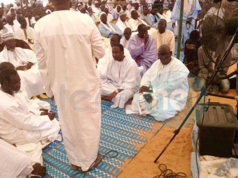 Lettre à Mame Cheikh Mbaye Djily