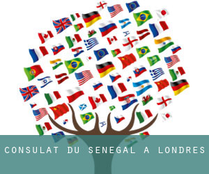 Ambassade du Sénégal en Angleterre: téléphone coupé, les Sénégalais s’insurgent