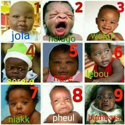 Zéro stress : Cousins à plaisanterie, le Wolof, le Peulh, le Ndiago et le Diola LOLLLLLL