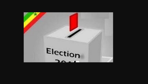 Elections législatives 2017 : En France, Diaspora Plurielle se retire de la compétition