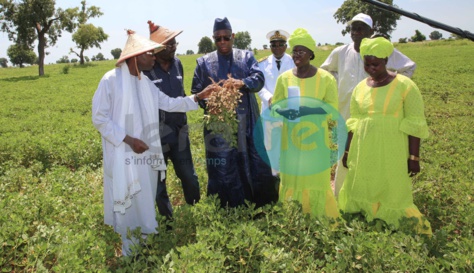 Agriculture : Le Sénégal félicité pour les performances du Pracas