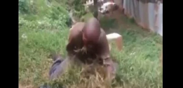 VIDEO: Un homme envoûté mange de l’herbe. Découvrez la raison