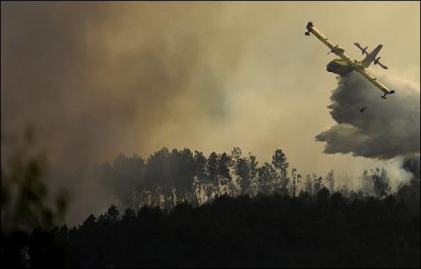 L'accident a eu lieu dans la région de Pedrogao Grande, mardi. (photo: AFP)