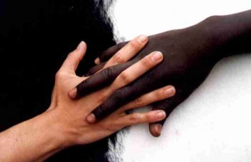 Contre la xénophobie, les discriminations et le racisme : Le Corax lance un alerte