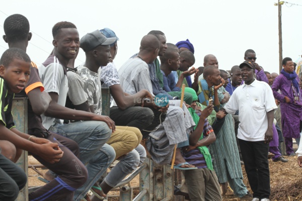 Vidéo-Photos: Baaba Maal en tournée avec son mouvement, Nann-k