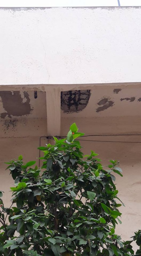 Alerte: Le stade Iba Mar Diop en état de délabrement avancé (images)