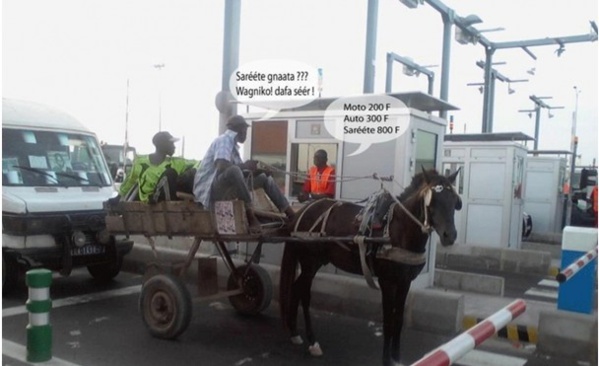 Quand les Sénégalais confondent démocratie et anarchie !!! ( Par M.BACARY SECK, Mouvement M.A.C.K.Y)