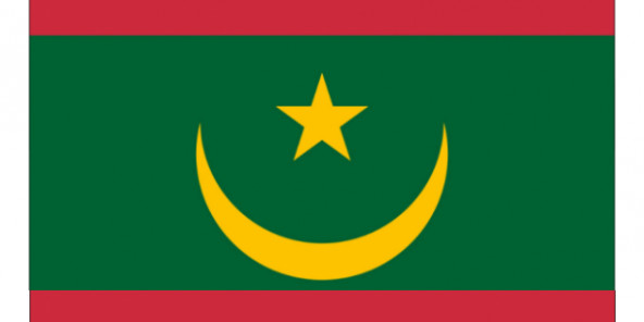 Mauritanie : Le changement de drapeau et la suppression du Sénat sont officiels