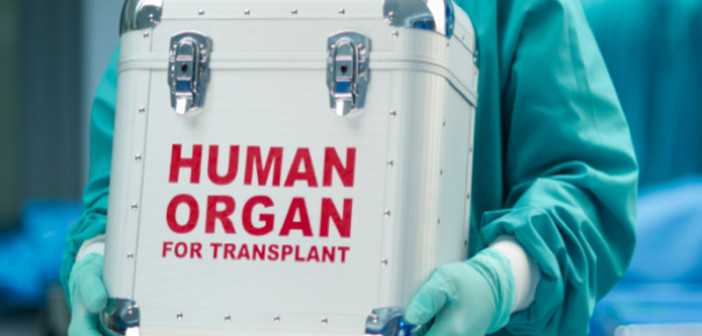 Egypte : un réseau de trafic d’organes démantelé