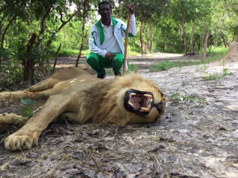 Images: Quand le ministre Mary Teuw Niane réussissait à dompter le roi de la forêt