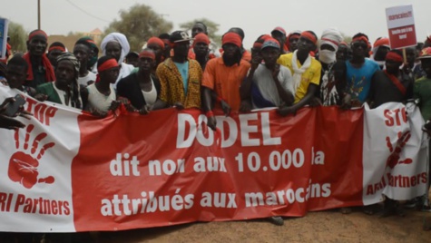 Foncier : Un Collectif de Dodèl saisit la Cour suprême contre des Marocains  