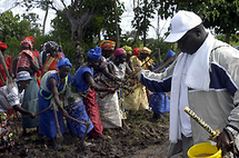 Des mourides au champ du président Jammeh