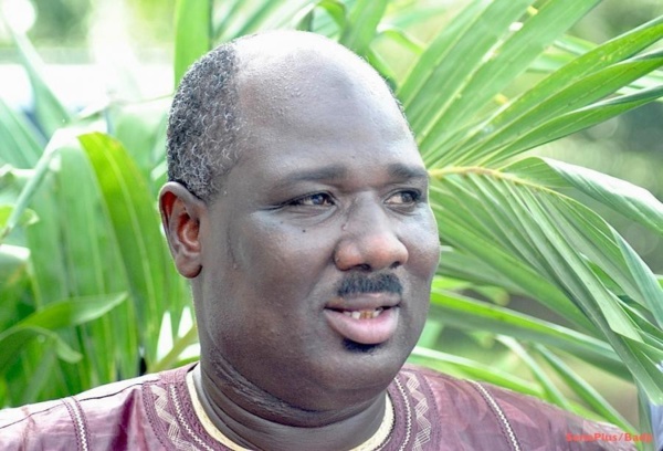 Farba Ngom : "Aliou Sall a une double légitimité politique et intellectuelle"