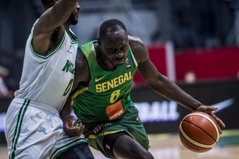 Afrobasket 2017 : Les "Lions" se font bloquer en demi-finale par les D-Tigers