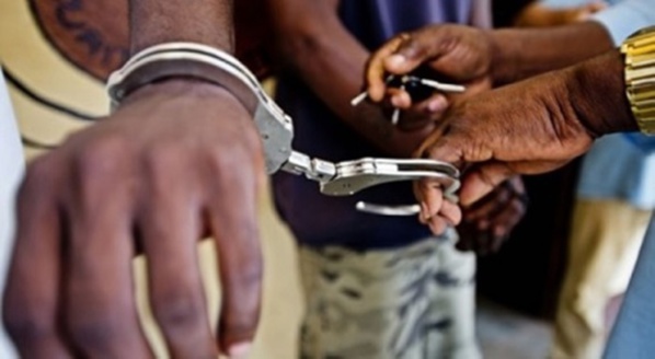 Libreville: Un Sénégalais trafiquant d'ivoire arrêté
