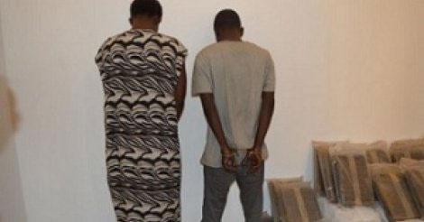  Tambacounda : Arrestation d’un baron de la drogue, à Gouloumbou