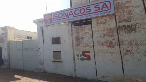 Privatisation de la Sonacos : les producteurs du Bassin arachidier mettent en garde l’Etat
