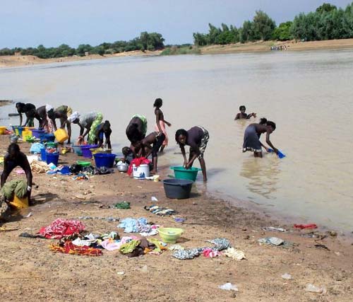 Sans eau depuis plusieurs jours: Les populations de Ndioum se désaltèrent dans les marigots