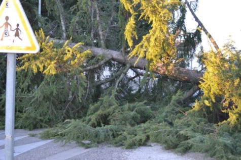 ​Thiès : un vent violent fait d’importants dégâts à Fandène