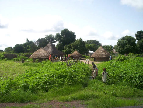 Sud du Sénégal: meurtre d'un enseignant attribué aux rebelles casamançais (gendarmerie)