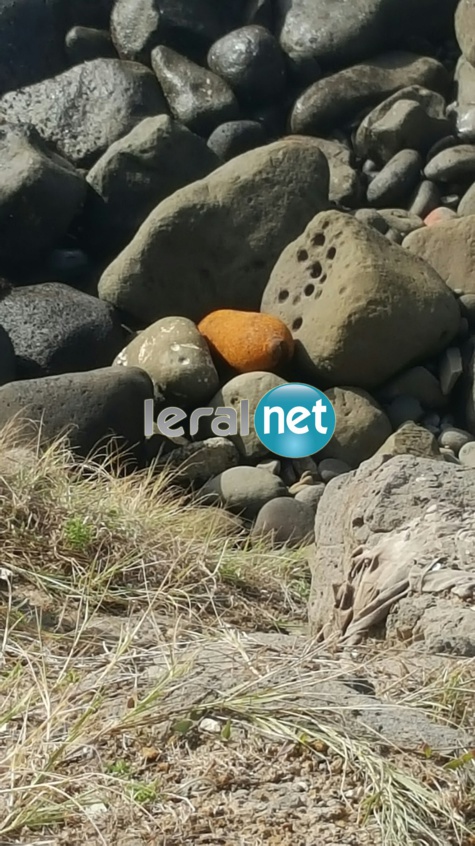 Photos : Découverte d’un obus de 400 kg en face de l’Ambassade du Mali, sur la Corniche Ouest