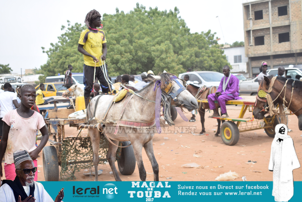 Images temps fort du Magal 2017