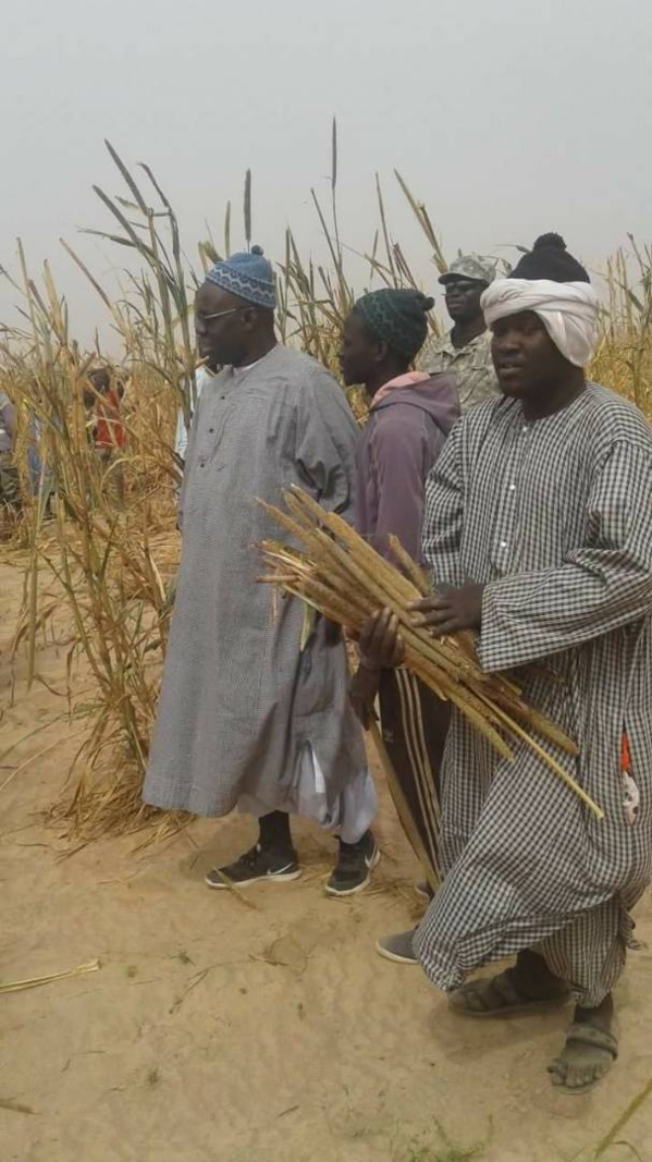 Vidéo : Appel Ngoobu Lagane 2017, Samuel Sarr fin prêt pour le Barkèlou le 2 décembre