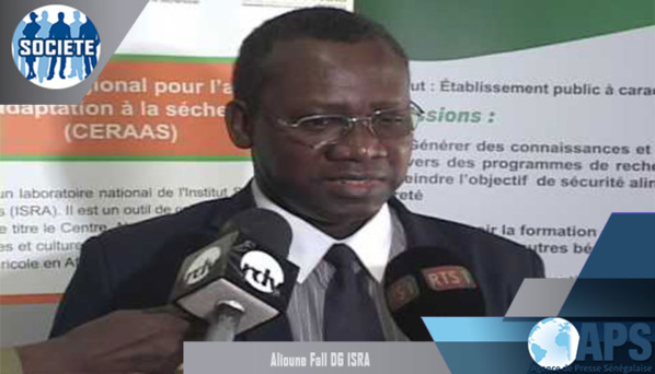 Difficultés du Pastoralisme en Afrique: Une cogestion de la terre et le code pastoral comme solutions