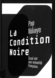 Pap Ndiaye, La Condition noire. Essai sur une minorité française