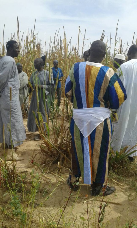 Photos: Ngoobu Lagane 2017, Le Barkèlou de Samuel Sarr 