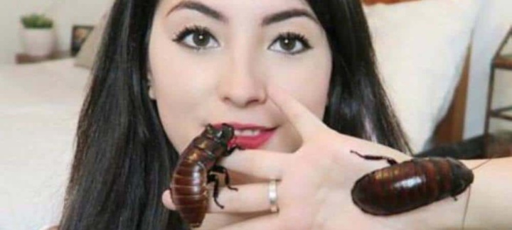 Insolite: une femme fait de deux cafards, ses animaux de compagnie