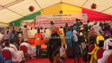 Photos: Cérémonie de Remise de Femelles gestante et de bourses d'aide en élevage