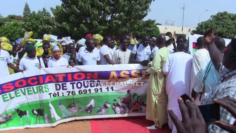 Photos: Cérémonie de Remise de Femelles gestante et de bourses d'aide en élevage