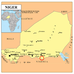 SITUATION POLITIQUE CONFUSE AU NIGER : L’AFRIQUE, l’ETERNELLE  RISEE  DU MONDE ?