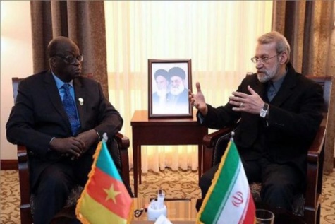 Moustapha Niasse reçu en Iran avec… un drapeau camerounais