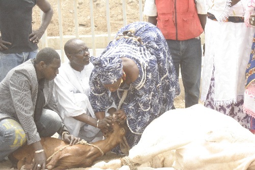 MBAYE GUÉYE DIENG, SALTIGUÉ DÉPOSITAIRE DES « TUUR » DES LÉBOUS DE OUAKAM : Ceux qui ont fait les sacrifices se sont trompés de génie et le pire est à craindre»