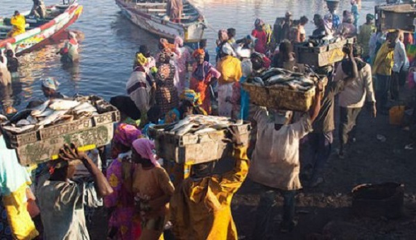 Difficiles négociations en vue pour des accords de pêche entre Dakar et Nouakchott