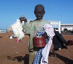 Des élèves d'écoles coraniques dans des conditions proches de « l’esclavage » - HRW